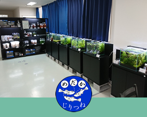 就労継続支援B型事業所じりつね